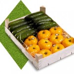 Vitamin box №3 - image-0